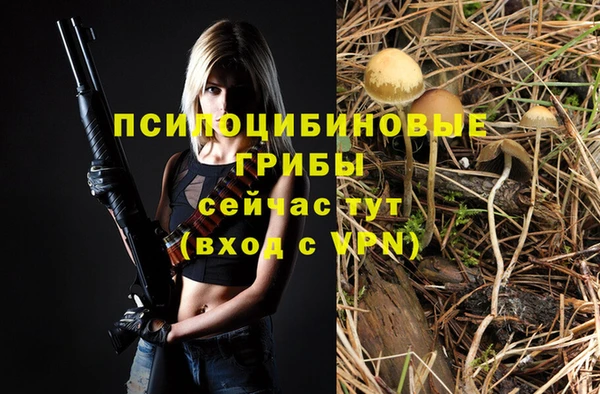2c-b Киренск