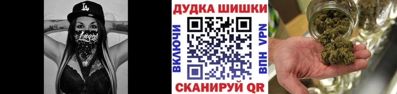 Купить закладки  Закаменск  Бошки марихуана планчик 